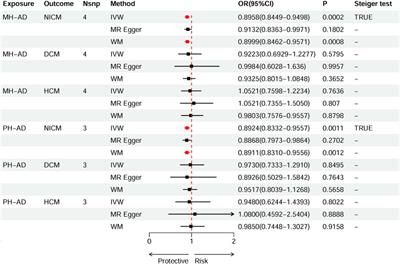 The causal effect of Alzheimer’s disease and family history of Alzheimer’s disease on non-ischemic cardiomyopathy and left ventricular structure and function: a Mendelian randomization study